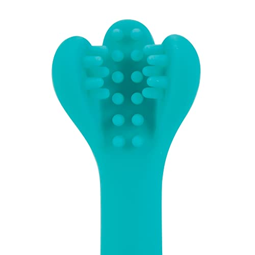 Dr. Talbot's 2 Piece Baby Toothbrush Training Set, 6+M, BPA Free - Image 3