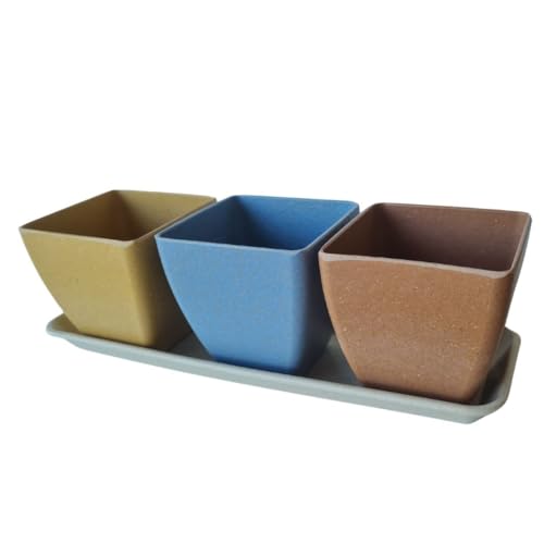 Haxnicks Windowsill Plant Pot Set, Rice Husks, Multi Colour, L29.5 x W10 x H10cm - Image 3