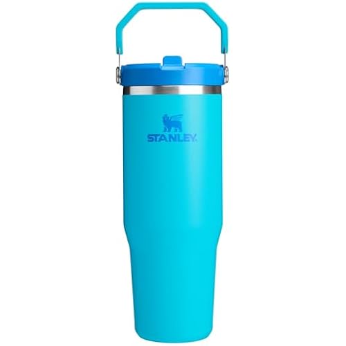 STANLEY IceFlow 2.0 Flip Straw Tumbler, 30 oz, Splash