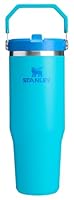 STANLEY IceFlow 2.0 Flip Straw Tumbler with Handle 30 oz | Twist On Lid and Flip Up Straw | Leak Resistant Water Bottle | Insulated Stainless Steel | BPA-Free | Splash