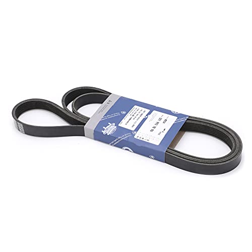 Correa serpentina de caucho sintético duradero compatible con Cherokee XJ 2.5 3