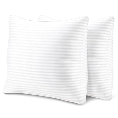 EvZ Premium Stuffer Pillow Insert Sham Square Form Polyester, 20