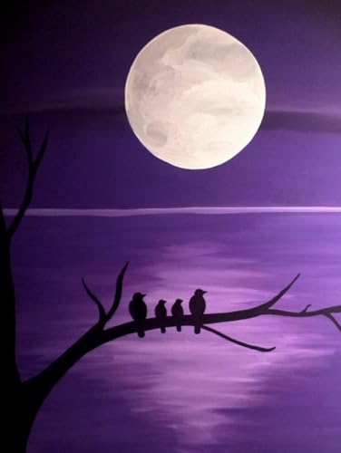 Lucid Libra Notebook 8.5x11: Midnight Family Meeting für 21,49 EUR bei amazon.de Bild: Lucid Libra Notebook 8.5x11: Midnight Family Meeting für 21,49 EUR bei amazon.de