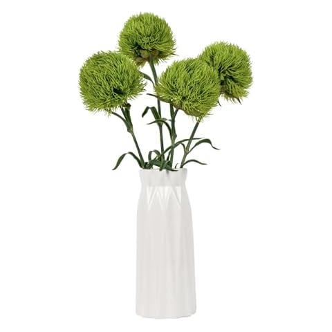 DuHouse 4Pcs Fake Dianthus Artificial Greenery Stem Realistic Green Tricks for Home Kitchen Wedding Courtyard Decoration(Light Green) Cover