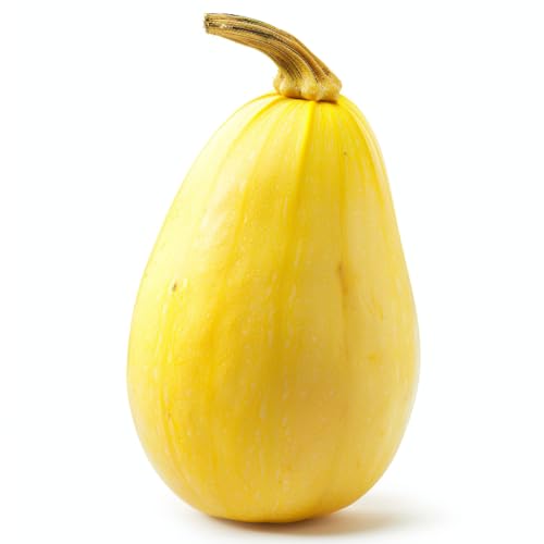 15 Semillas de Calabaza Espaguetis - SemiSalvaje Permacultura
