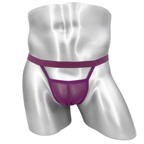 [WhimsiNova] Tバック メンズ 2点セット Gストリングス 過激 透け 男性用セクシーランジェリー コスプレ 極薄 マイクロメッシュ メンズ ティーバック シースルー ショーツ 通気性 勝負下着 - 画像5