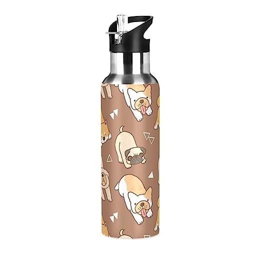 Botella de agua para perros Shiba Inu con tapa de pajita, aislada, de acero inoxidable, para niños y niñas, gimnasio, deportes, a prueba de fugas, 600 ml