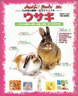 ウサギ―ウサギの飼育・医学・生態・歴史…すべてがわかる (スタジオ・ムック―Anifa books-わが家の動物・完全マニュアル-)