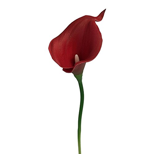 Angel Isabella, LLC 20pc Set of Keepsake Artificial Real Touch Calla Lily with Small Bloom Perfect for Making Bouquet, Boutonniere,Corsage (Rich Red)