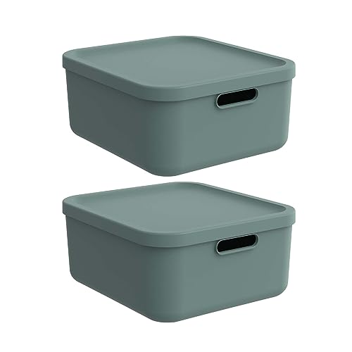 Rotho Albula light 2er-Set Aufbewahrungsbox 20l mit Deckel, Kunststoff, grün
