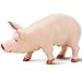 Safari Ltd. Boar Figurine - Realistic, Lifelike 4.25