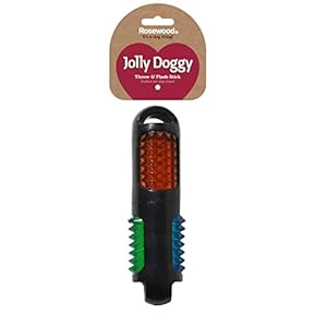 Rosewood Jolly Doggy Os en Caoutchouc Clignot...
