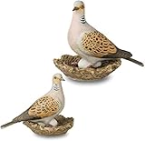 goebel vogel blaumeise  Goebel Vogel des Jahres 2020: Turteltaube (Set groß & klein) + Gratis Edelstahl Strohhalme 4er Set Silber gerade EKM Living