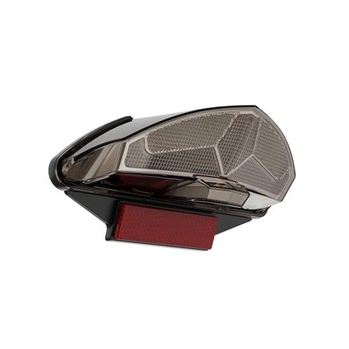 Luz trasera LED integrada con intermitentes de alta resistencia para BMW GS 3