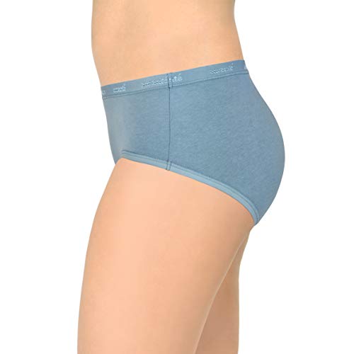 Image of Amante Solid Cotton Low Rise Hipster Panty Pack(Pack of 3)