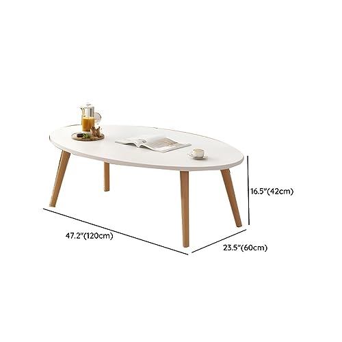 Table basse ovale en bois avec étagère de rangement pour salon