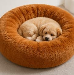 Image of Prokart Soft Faux Fur Fabric Cloth - 60 Inch Wide Pana | Fur Fabric Decorative Cloth for Crafting Soft Toys, Fancy Dress, Baby Photoshoot, Wedding Mandap & Party Decor (Mustard, 2 Mtr)