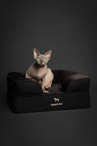 Image of NOAH & PAW Small Dog Bed, 20x15x8 Inch, Cat Bed for Indoor Cats, Orthopedic Eggshell Memory Foam Infused with Cooling Gel, Water Resistant Inner Cover Machine Washable (Denim Collection)