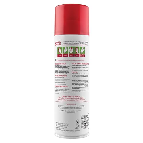 Precio caja de espumas en aerosol 19 Imagen adicional