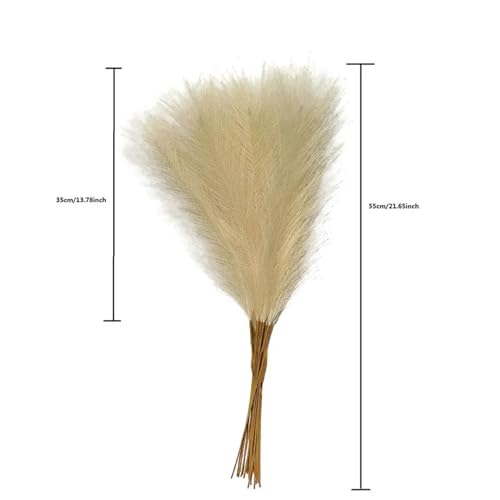 Decoración Boho 10 Pcs Hierba Pampas Roja 55 cm miniatura 4