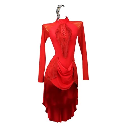 ZHQNZJF Tassel Latin Competition Costumes Ballroom Dance Dresses for Women High Collar Salsa Tango Performance Dancewear,B,XL