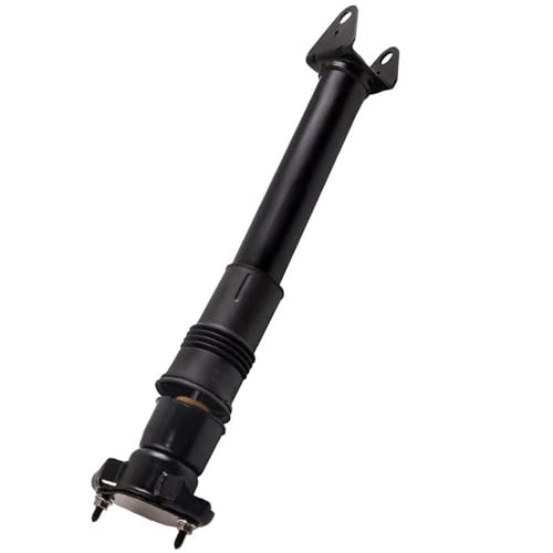 DZSQTUND Amortisseur Jambe Force Suspension Pneumatique Arrière pour Mercedes pour Benz R320 R500 R350 W251 A2513202231 2513200931 A251320103180 A2513200931 Jambe Suspension