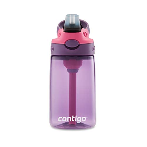 Image of Contigo Kids Straw Water Bottle with AUTOSPOUT Lid, 14oz, Eggplant
