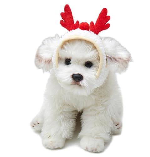 AttRex ybg NX}X  L Xq H~  giJC 蕨 nbg ӂӂ h ^p p[eB[ j RX`[ RXv  LOBe (M,bh)