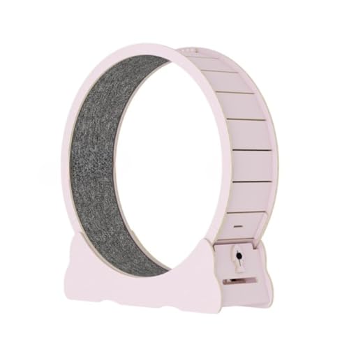 Ambety �É��œK���o�[�W���� 4.0 �L�����i�[ ���ؑ��w�L�����j���O�}�V�� �N�[���J���t���L�^�����[���[ �L�^���[��֔L�������� (�s���N,M)