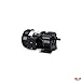 AC Gearmotor, 60 rpm, TEFC, 115V