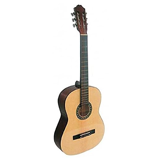 Rocio Guitarra clásica R20
