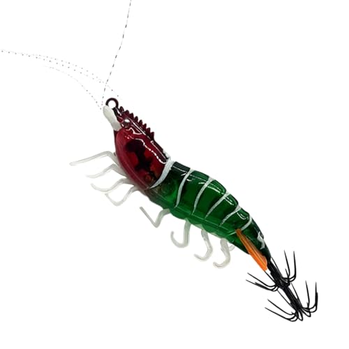 Bsbkoj CJGM,Ïނp - Gr` CJWO a - AEghAECEE΁Erł̋xɁEƑEEp