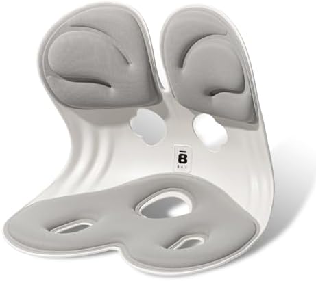 BKT Seat Cushion Chair Ergonomic Office Chair Cushions Lumbar Support for Seat Pillow Ideal for Students Office Workers Nursing Mothers Long Sitting Outdoor Fishing Floor (Grey)