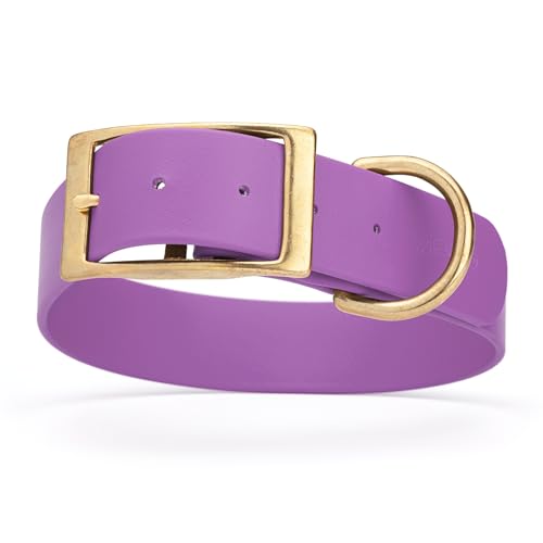 Image of Viper Biothane Heavy Duty Waterproof Dog Collar Strong Coated Nylon Webbing w /Solid Brass Hardware Odor-Proof for Easy Care to Clean High Performance Fits Small Medium or Large Dogs, Amethyst Purple