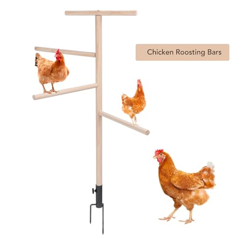 Image of Diydeg Extra Large Chicken Perch Toys, Wooden Chick Perch Stand with Metal Ground Plug, Outdoor Birds Training, Chicken Coop Accessoriess for Large Bird Parrot Poultry Rooster