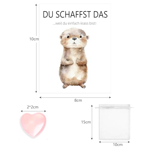 BMGRKYQX Du Schaffst Das Geschenk,Glücksstein Mutmacher Geschenk,Mutstein+Glückskarte+Organzasäckchen,Otter Mutmacher Glücksbringer für Kinder Erwachsene