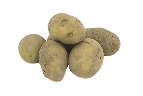 Fresh Produce Potato 500g