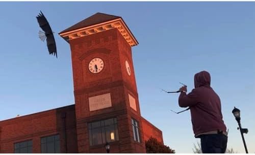 Miniatura 6 de Revolution Kites 3D Eagle Quad-Line Stunt Wing de 8 pies (novicios a profesionales) - Diseño de fibra de carbono ultraligero - Lanzamiento desde