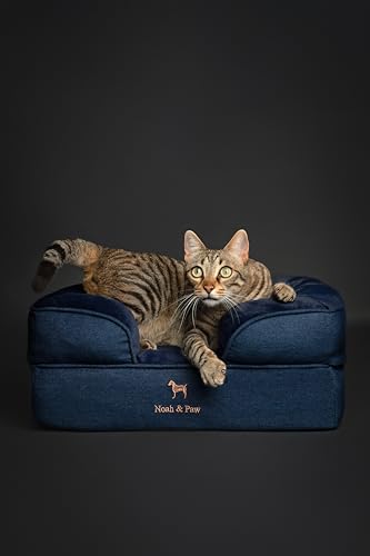 Image of NOAH & PAW Small Dog Bed, 20x15x8 Inch, Cat Bed for Indoor Cats, Orthopedic Eggshell Memory Foam Infused with Cooling Gel, Water Resistant Inner Cover Machine Washable (Denim Collection)