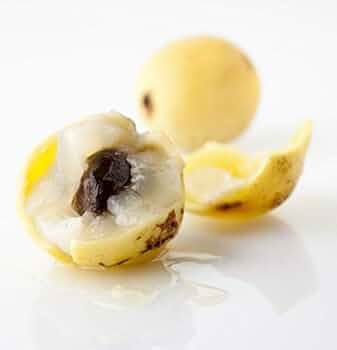 マルーラ　苗 Amazon | マルーラの種（10粒） | 種