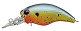 エバーグリーン(EVERGREEN) ワイルドハンチSR #381 ブリーディングサンフィッシュ 5.2cm