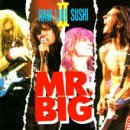 Amazon.com: Raw Like Sushi II Audio Mr. Big
