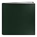 Pioneer 12 Inch by 12 Inch Postbound Leather Family Treasures Memory Book, Hunter Green