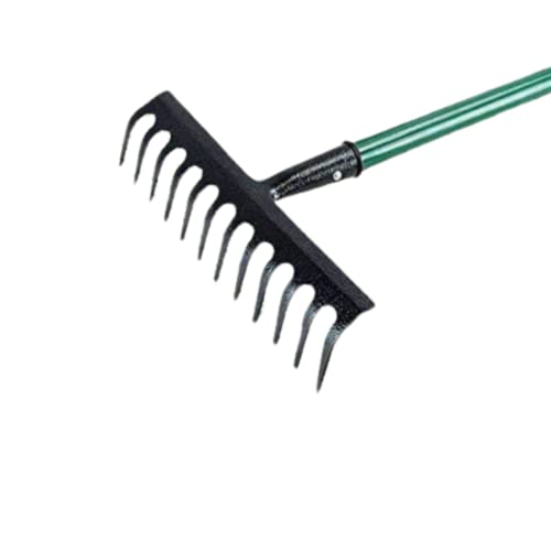 tradefirst 12 Teeth Garden Rake Heavy Duty Soil Rake, Carbon Steel Rake For Gardening, Garden Rakes Metal With Steel Handle, Gardening Tools _ Green(120 x 32 x 9 )cm