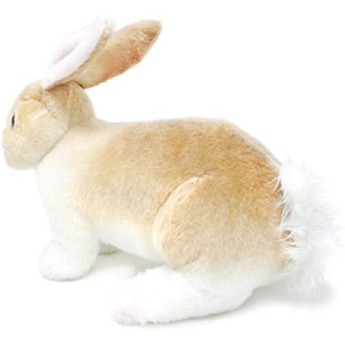 Viahart Ridley The Rabbit - 11 Inch Realistic Stuffed Animal Plush Bunny - By Tiger Tale Toys #TOP4