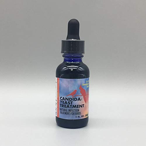 Fab Finches Morning Bird CANDIDA/YEAST TREATMENT – helps your bird’s immune system fight candida and yeast infections
