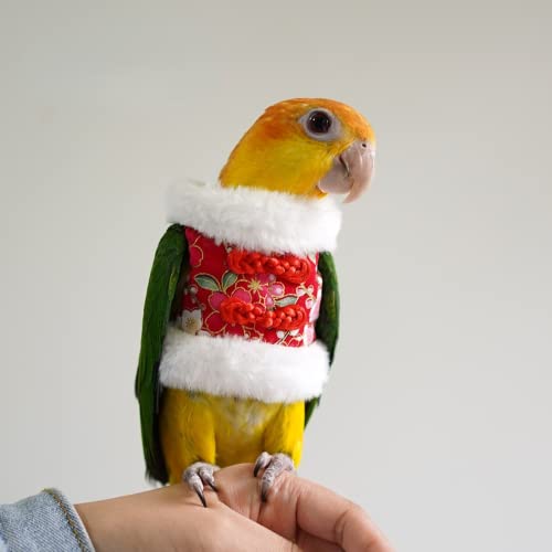 Image of Bird Costume Flight Suit Clothes Cosplay Photo Prop for Parrots Parakeet Cockatiel Sun Conure, Hoodie Small Animals Apparel (Red, Small), Green