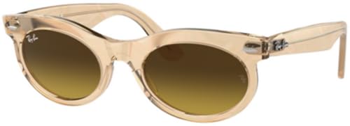 Ray-Ban RB2242 Sunglasses Bundle: RB 2242 WAYFARER OVAL 138685 Photo Waves Brown/Brown Gradient Crystal Standard and Eyewear Cleaning Kit