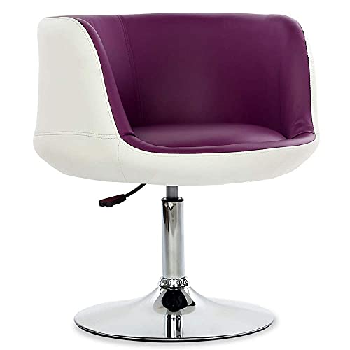 DDKYHU Furniture Pub Stool Bar Stool Nail Stool Chair Rotating Chair Beauty Salon Chair Home Dining Room Living Room Kitchen Chair/B elegant (C)