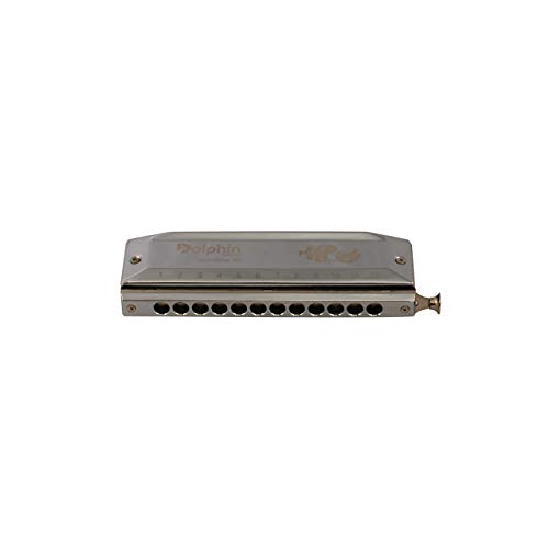 Gaita Cromatica Dolphin 6405, 48 Vozes Do Abs